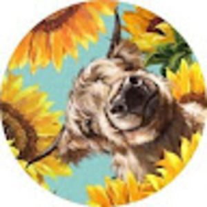 Meet your Posher, Marie